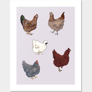 Flock of Chickens Posters and Art